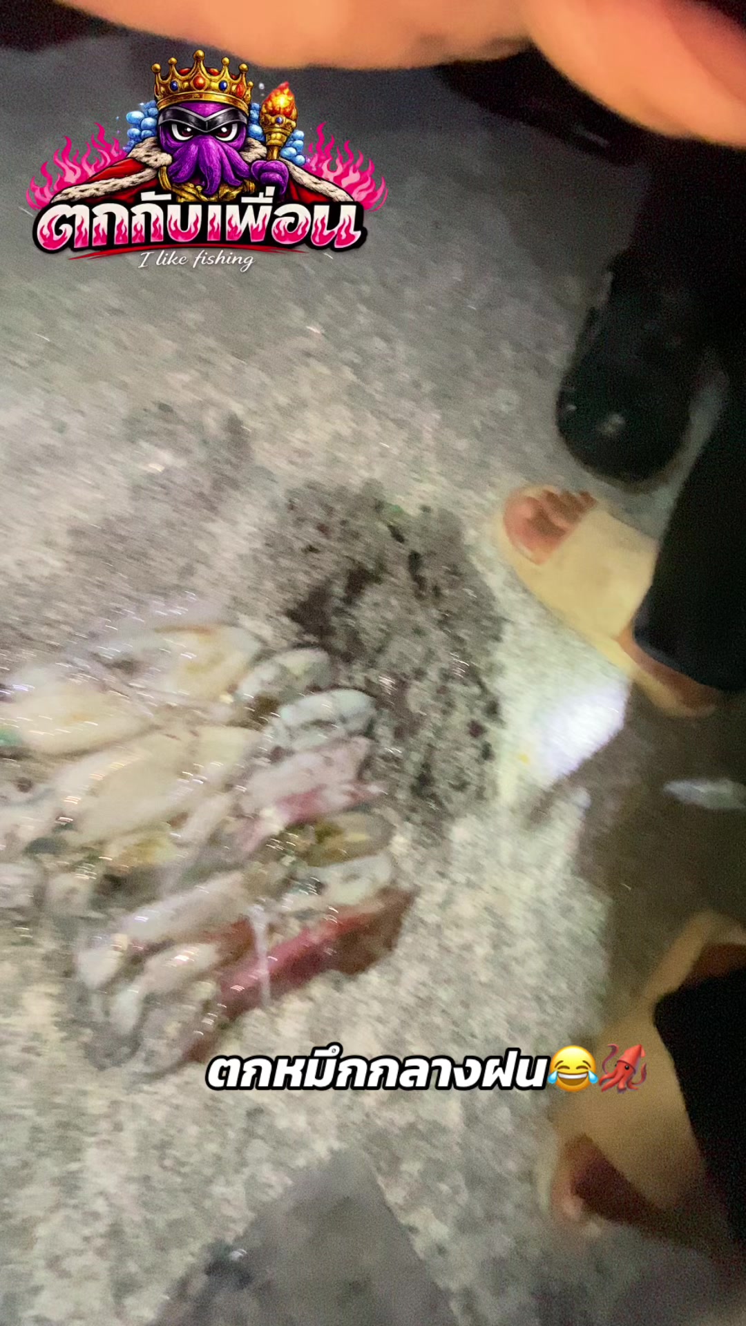 @ตกกับเพื่อน🦑 (likes fishing)