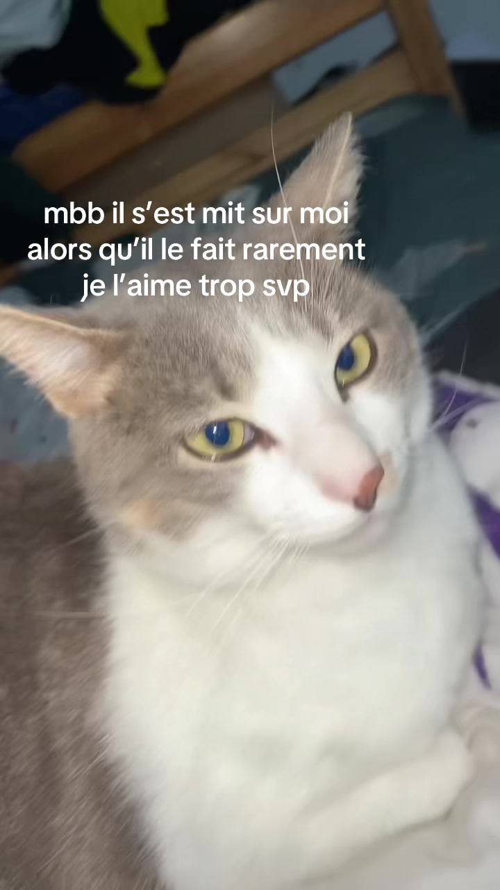 @locolorax1