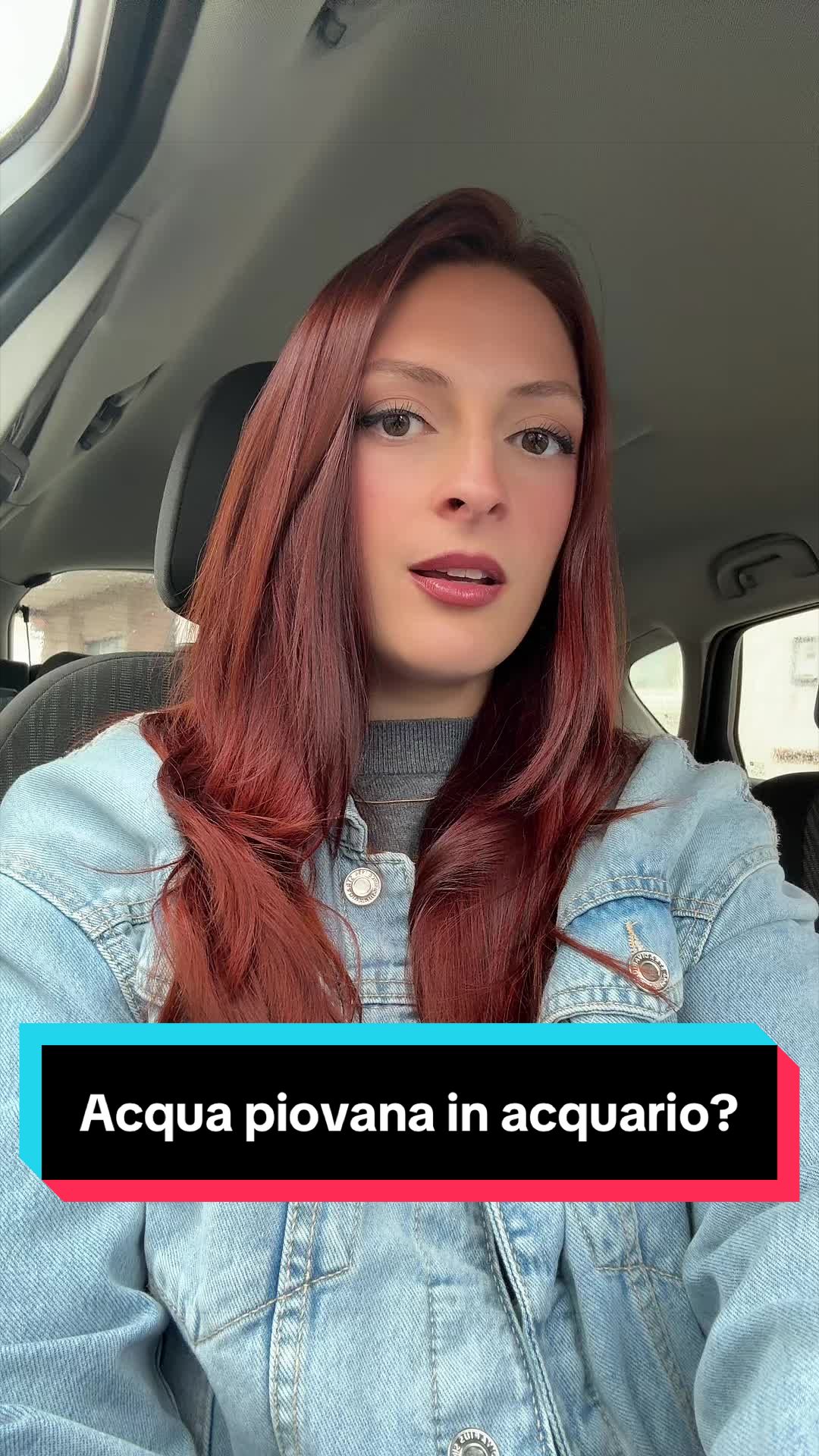 @ElenaStardust
