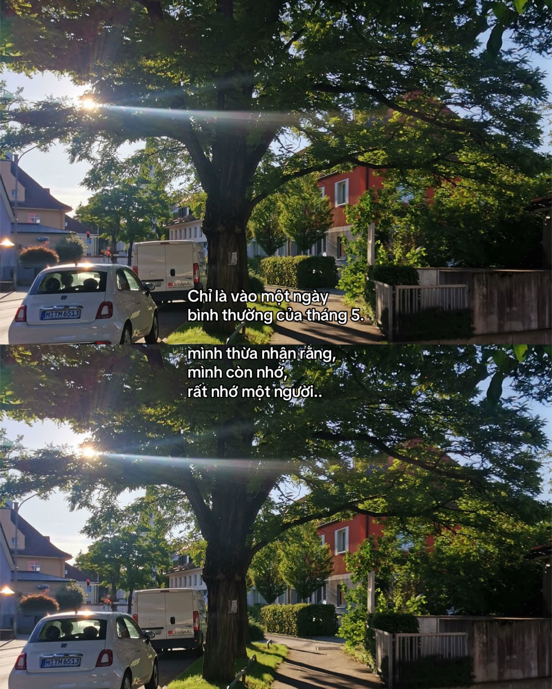@𝙉