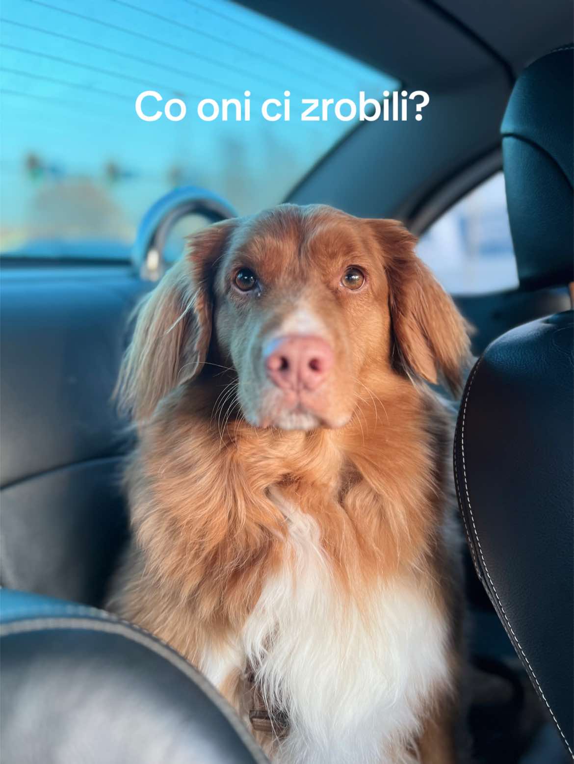 @oliwka
