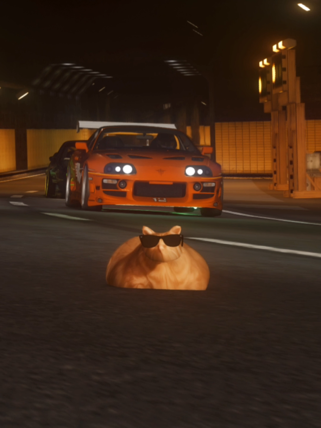@Pablo the Race Cat