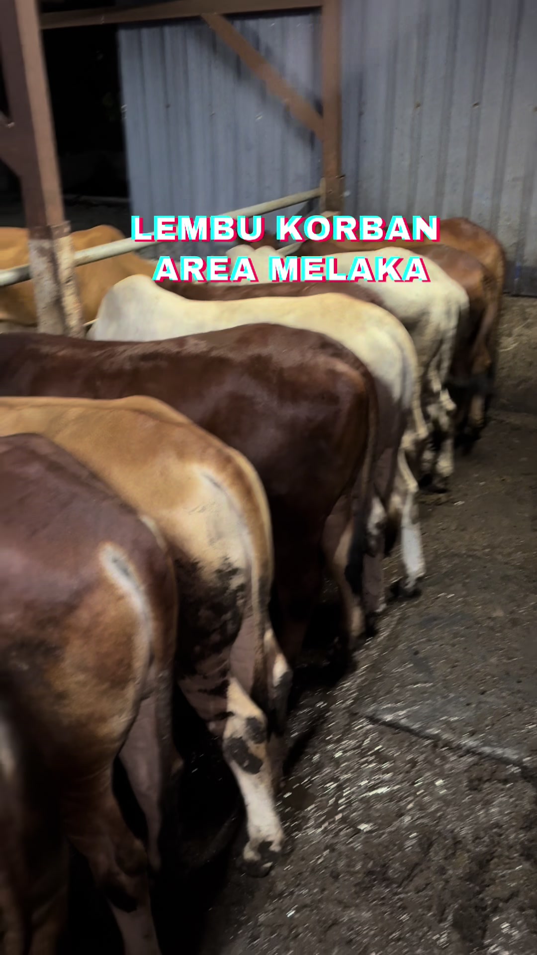 @Muhammad Ikmal Hakim