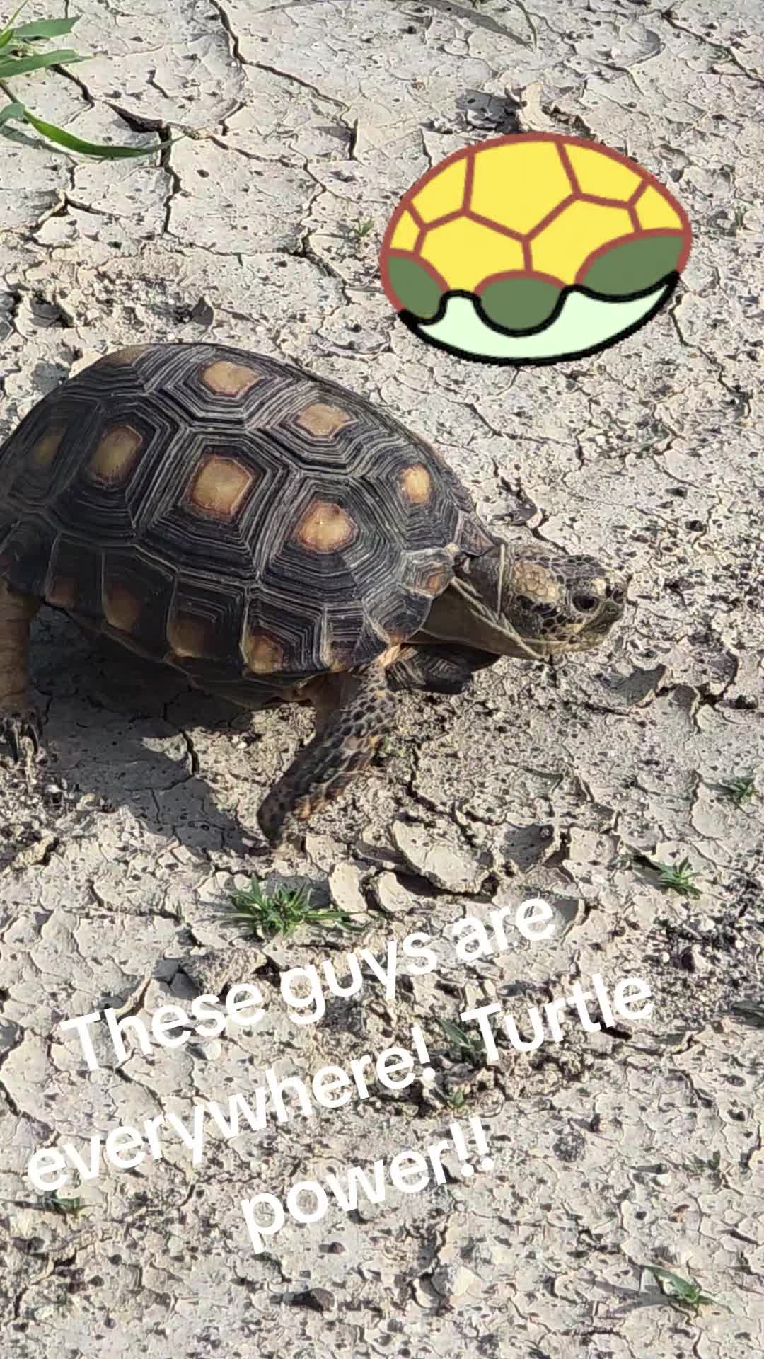 @Blablablajonboy
