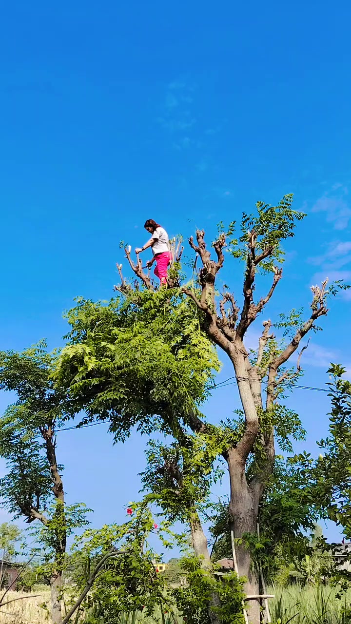 @sitaacharya268