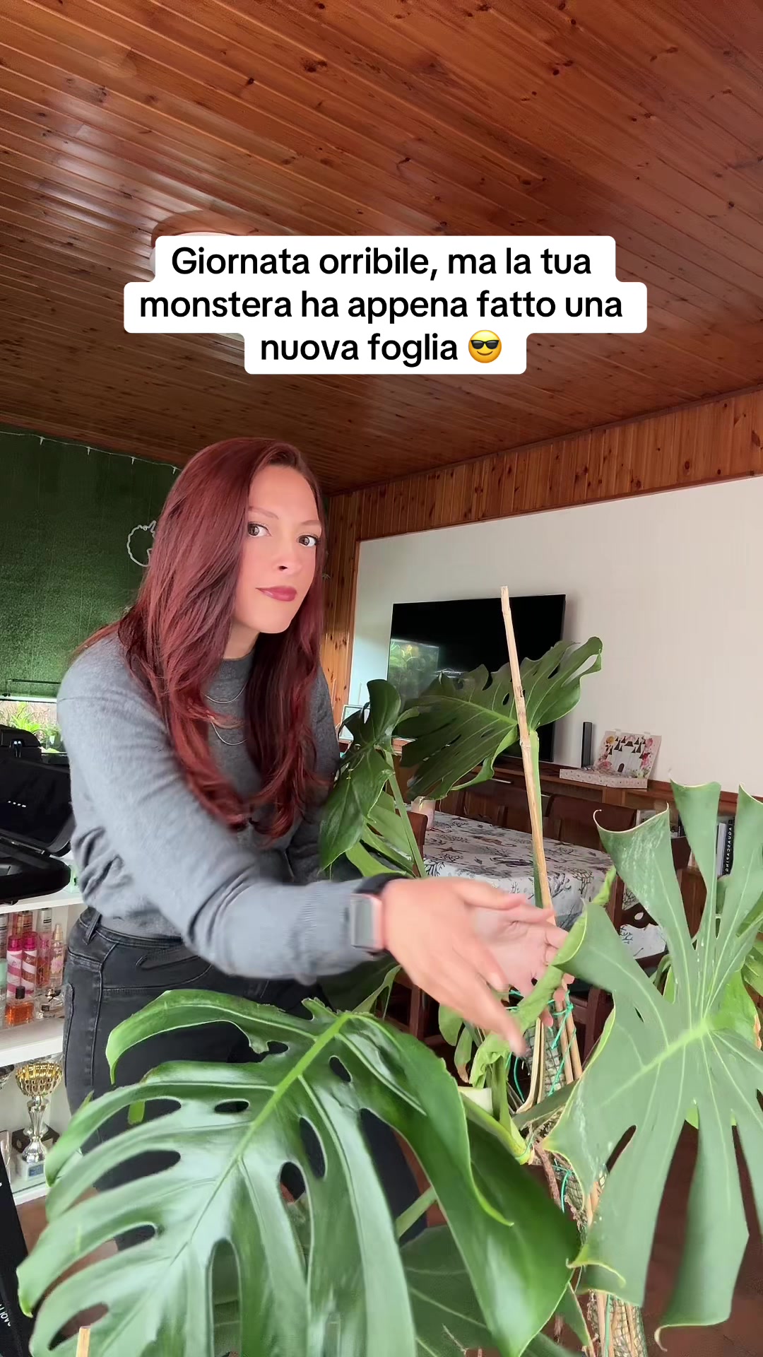 @ElenaStardust
