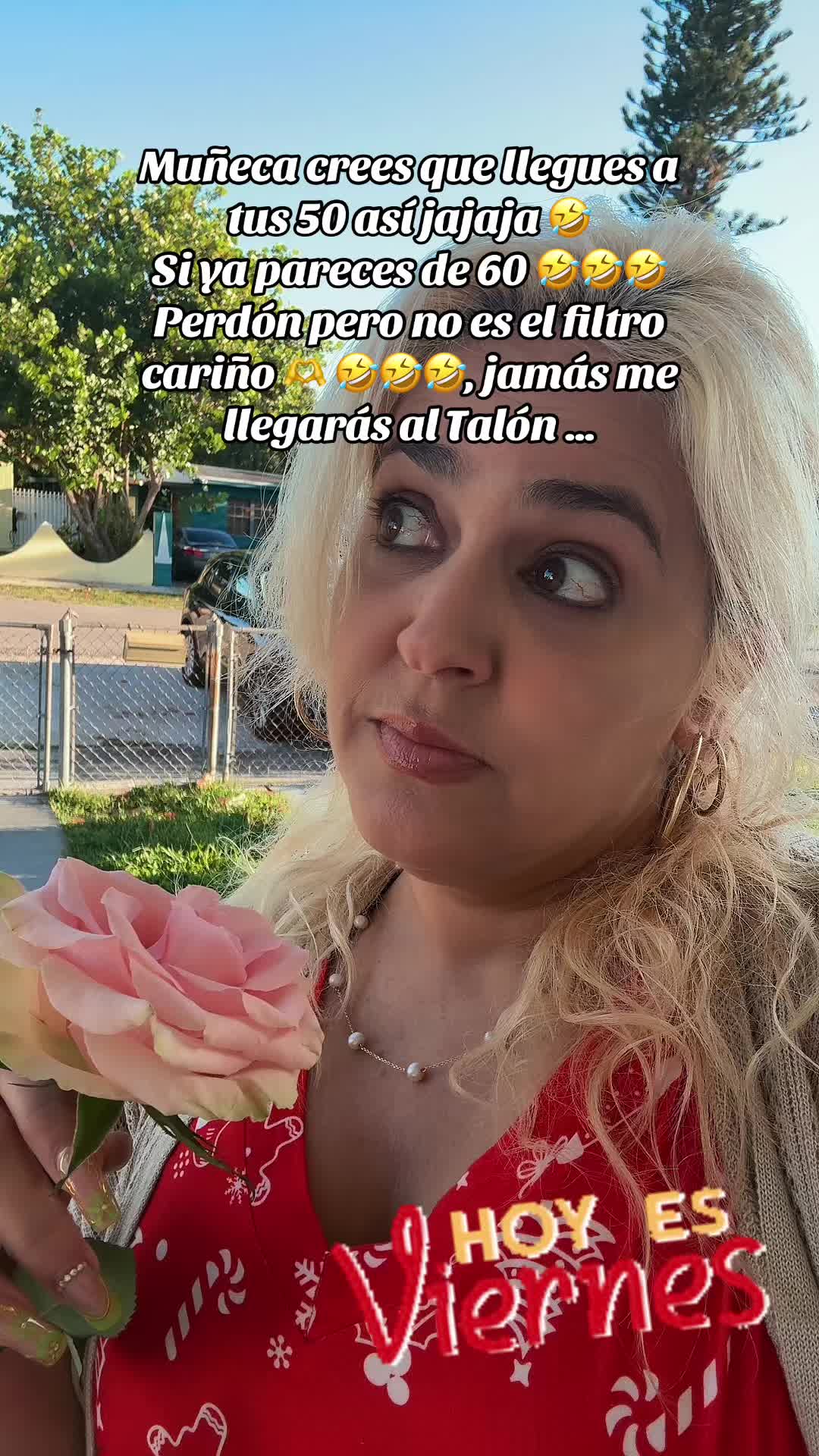 @yayi