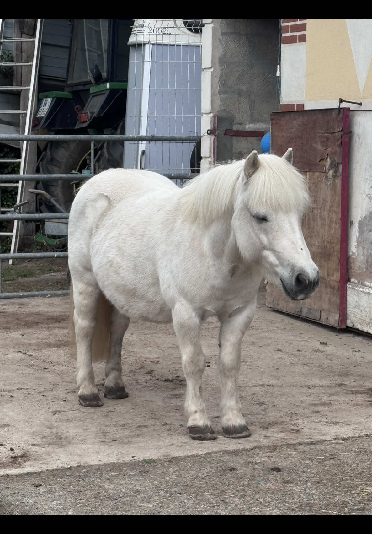 @benjyylepetitponey