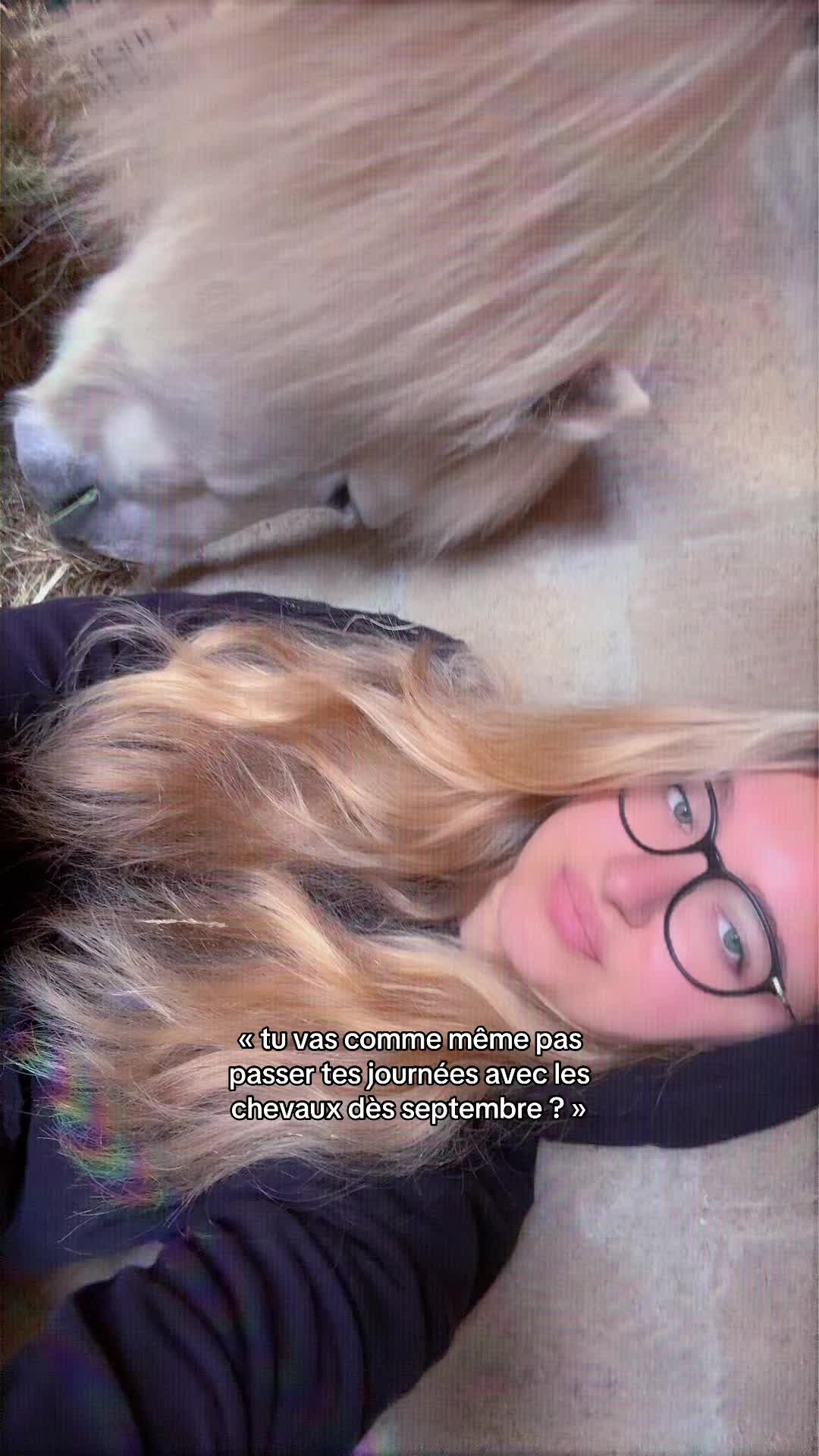@benjyylepetitponey