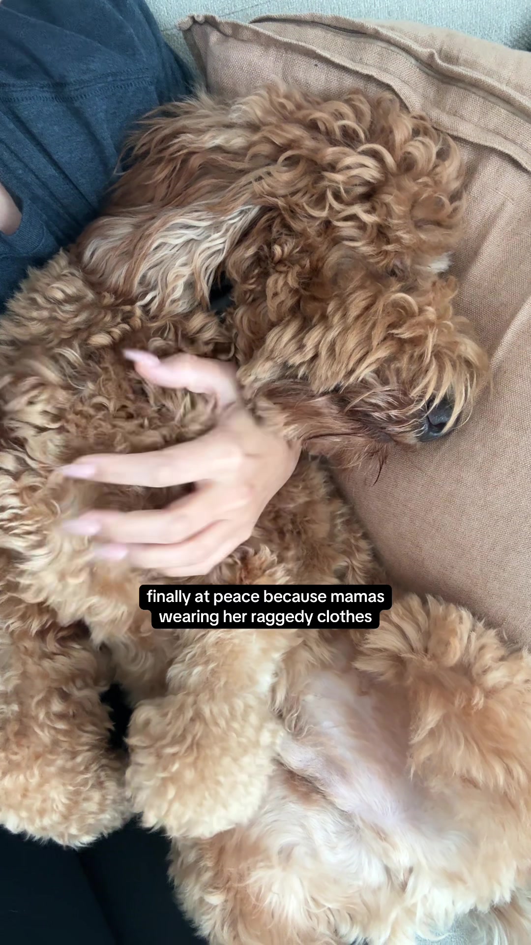 @Teddy 🐾