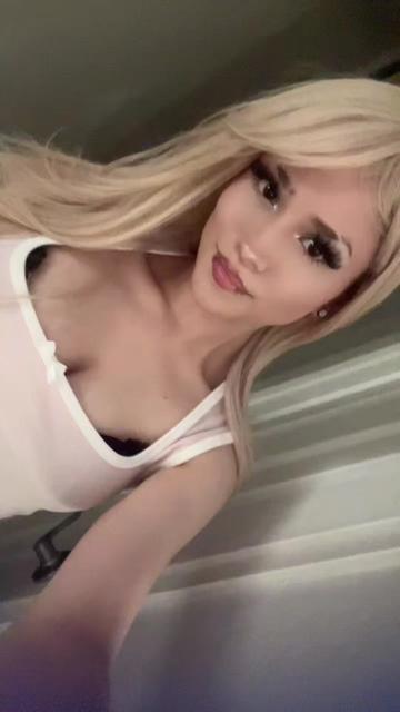 @sicc2mydicc