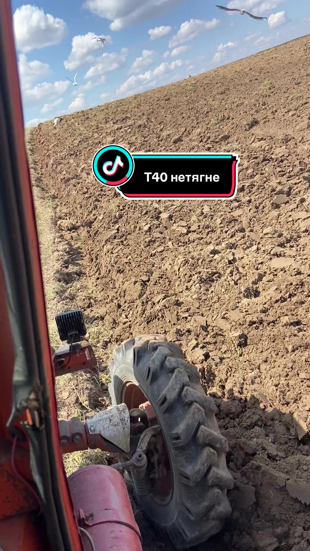 @🌾Богдан🌾