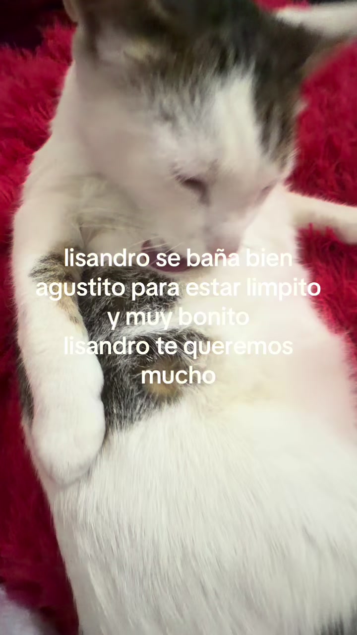 @c de conchuda 😳❣️❣️