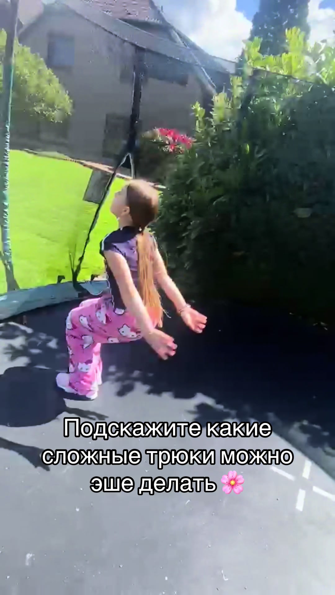 @PoliDream