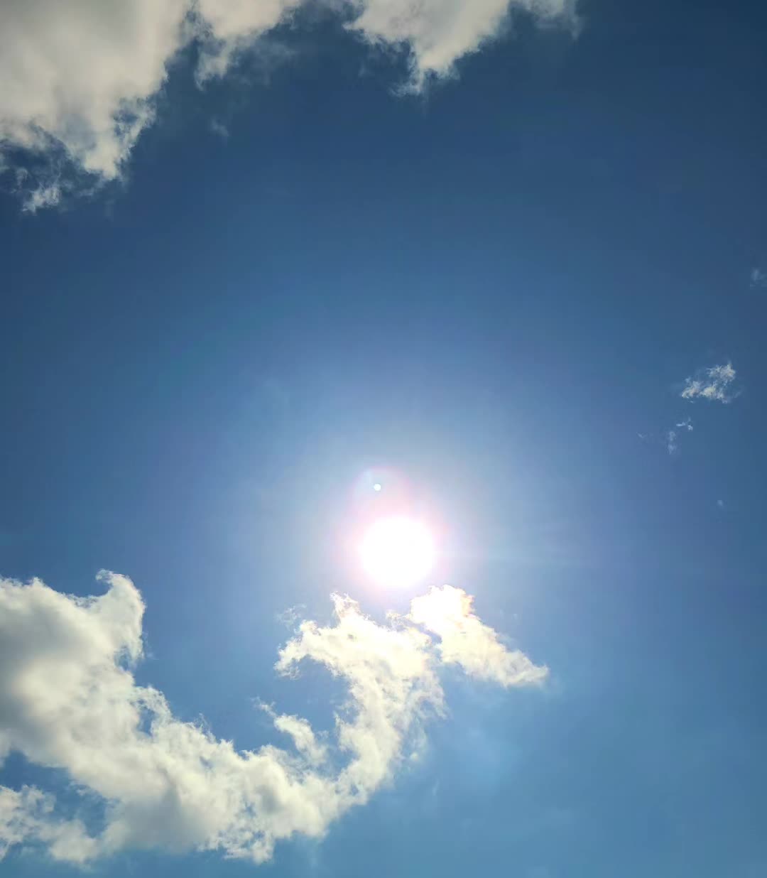 @FloridaLiving