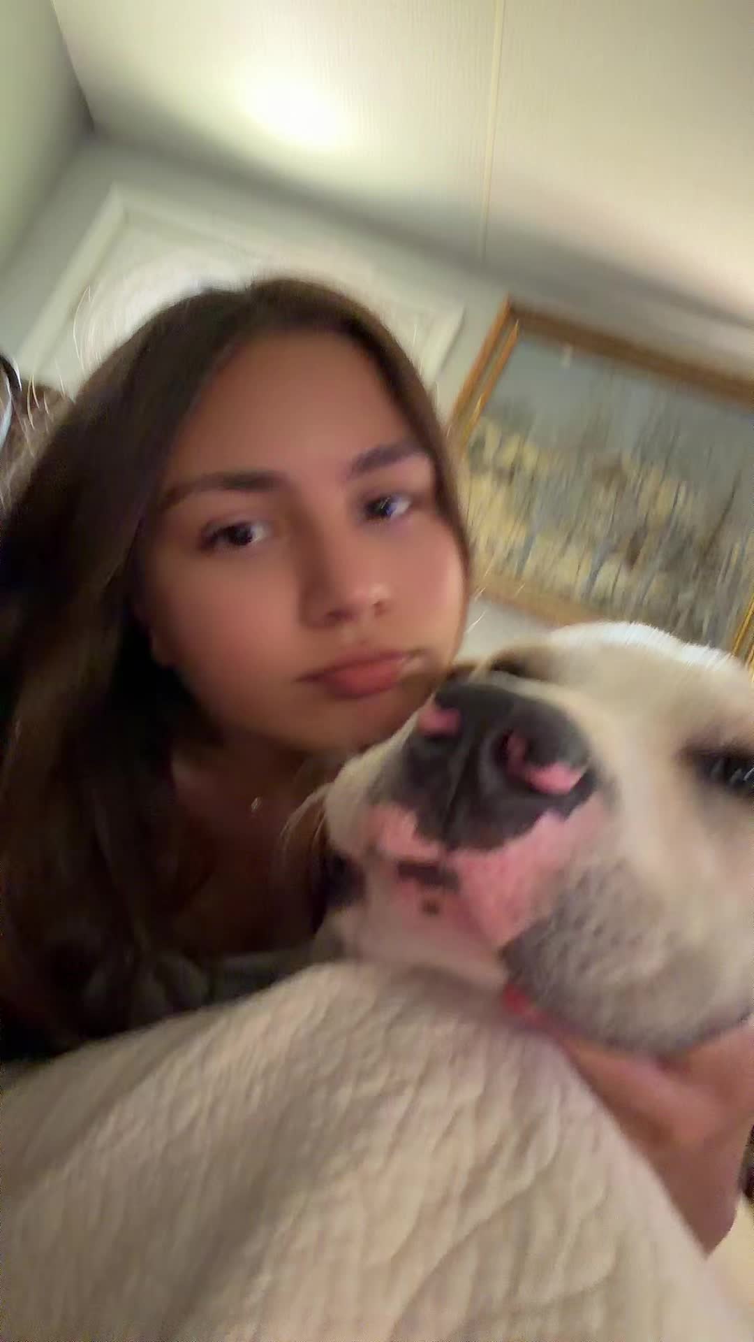 @minicaryn