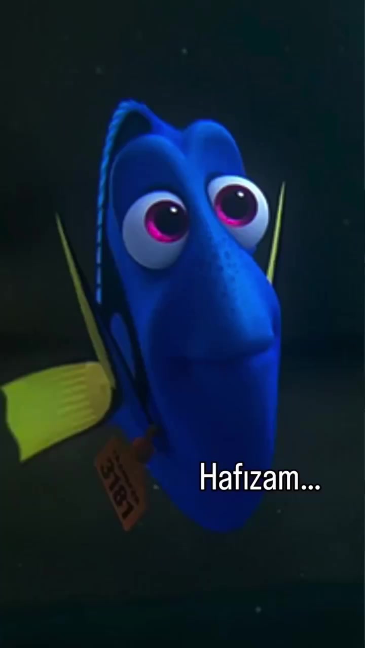@Zayra050