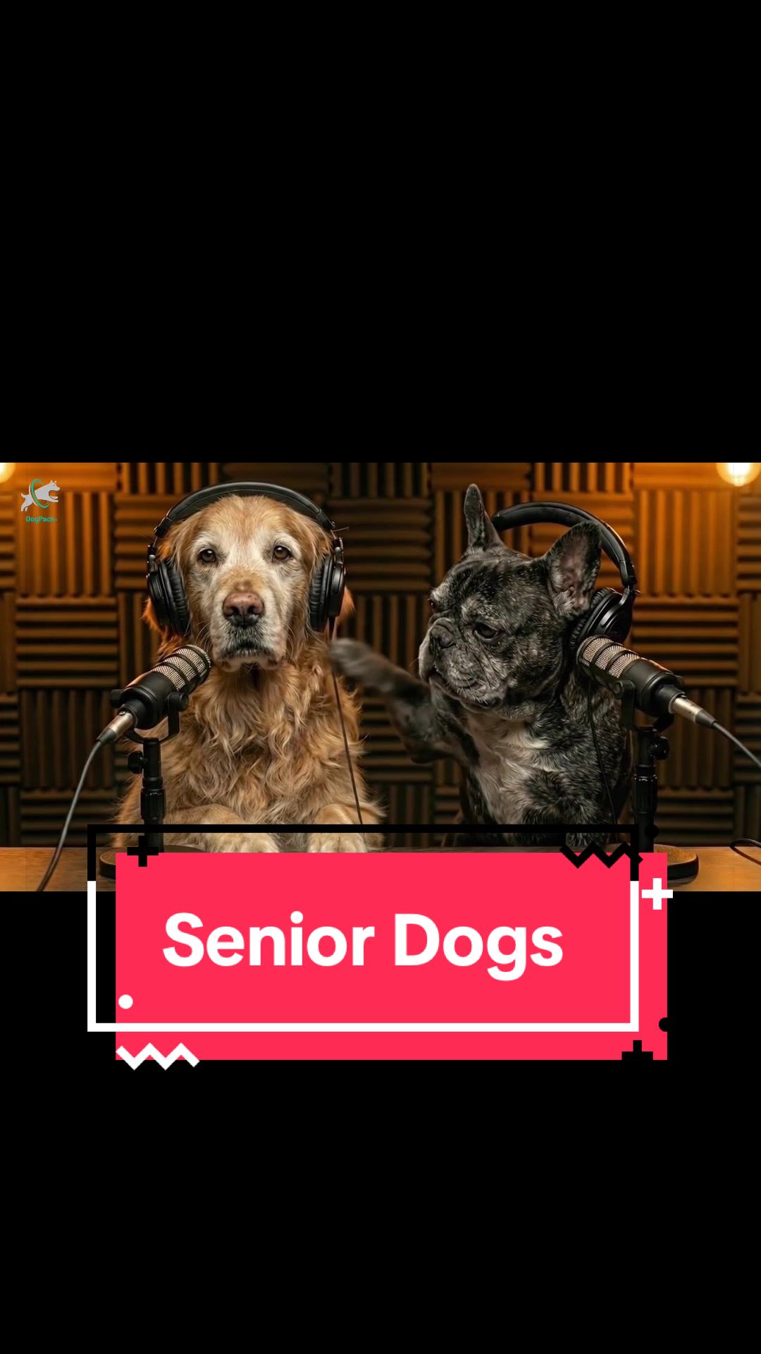 @DogPack