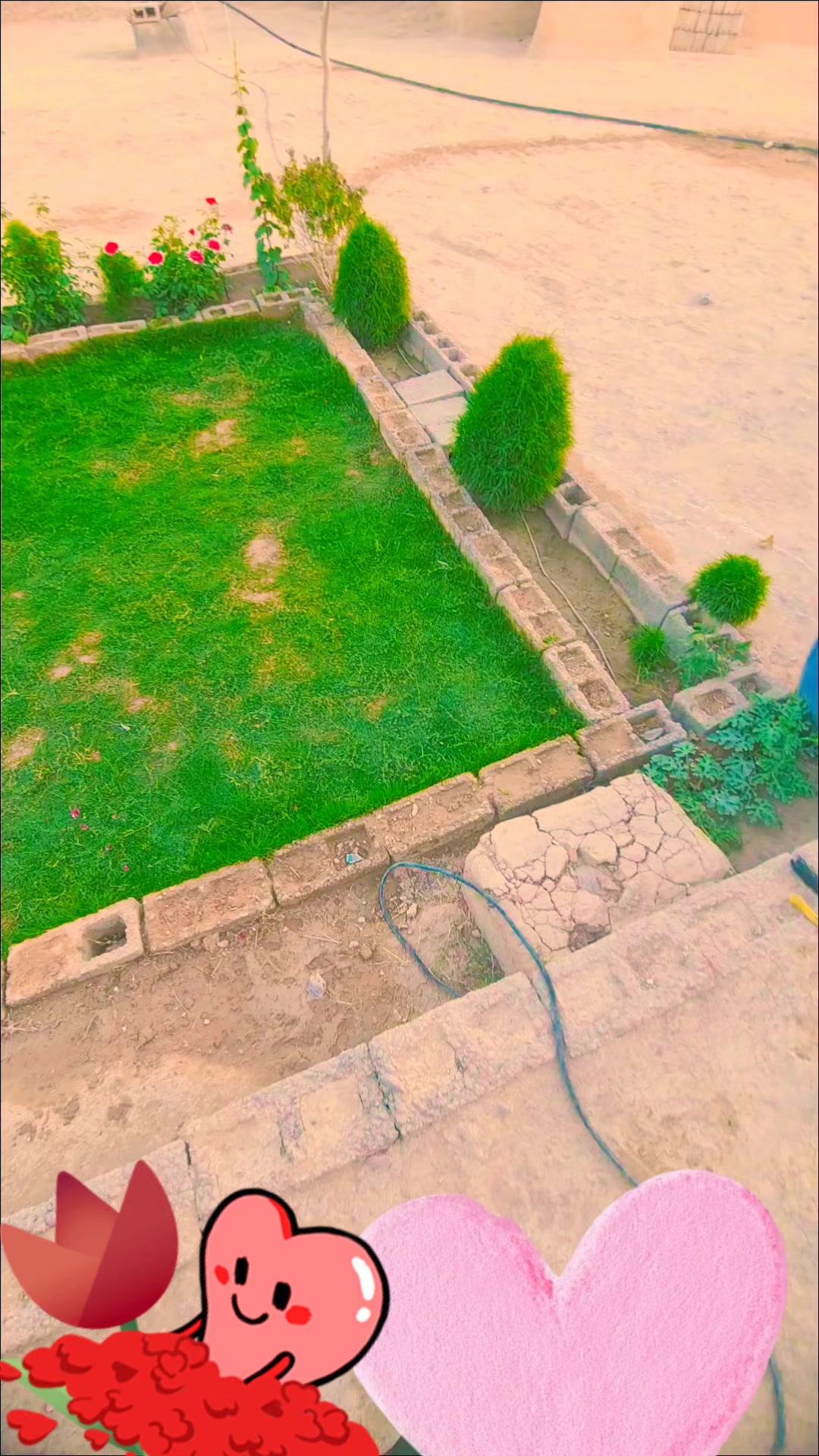 @🌹⭐Naimat khan⭐🌹