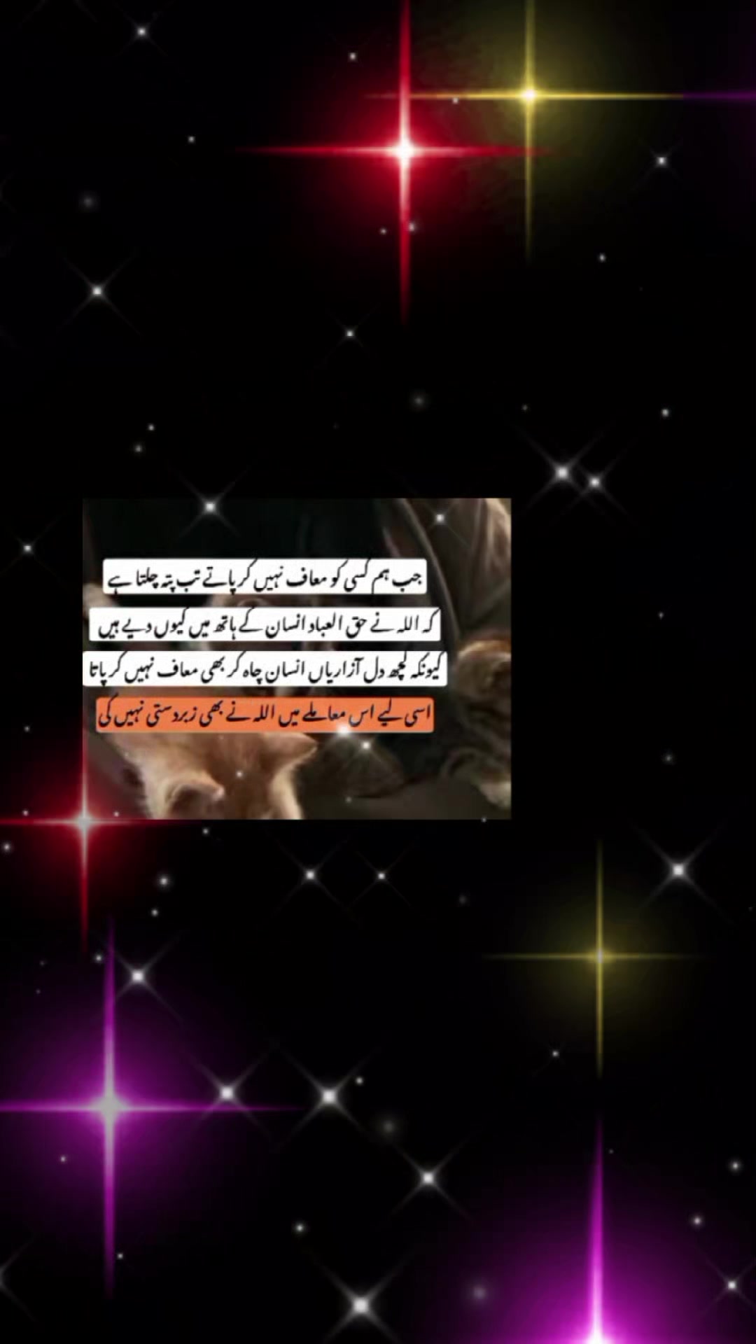 @خاک ہے پہچان میری