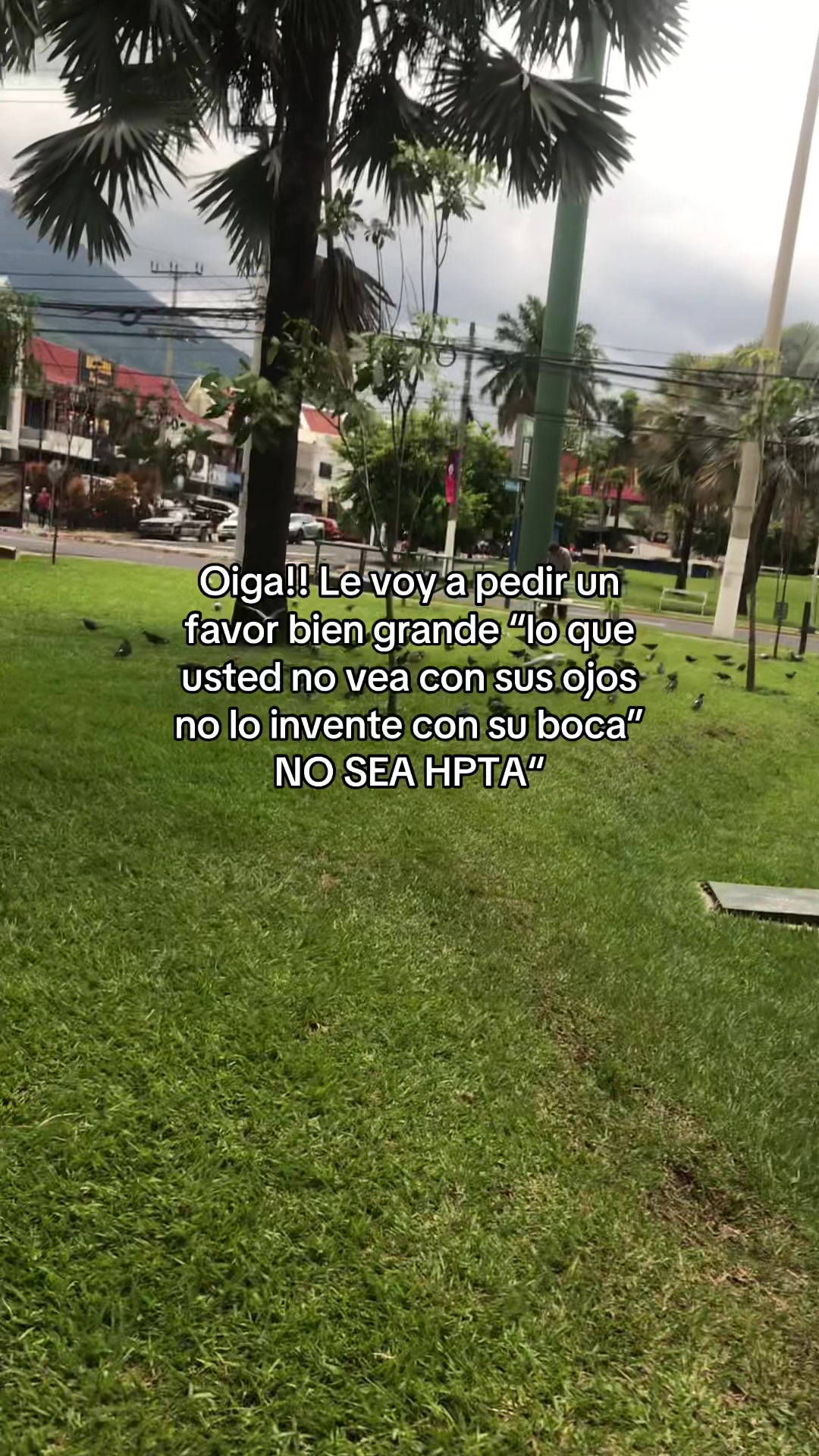 @Jessy Serrano