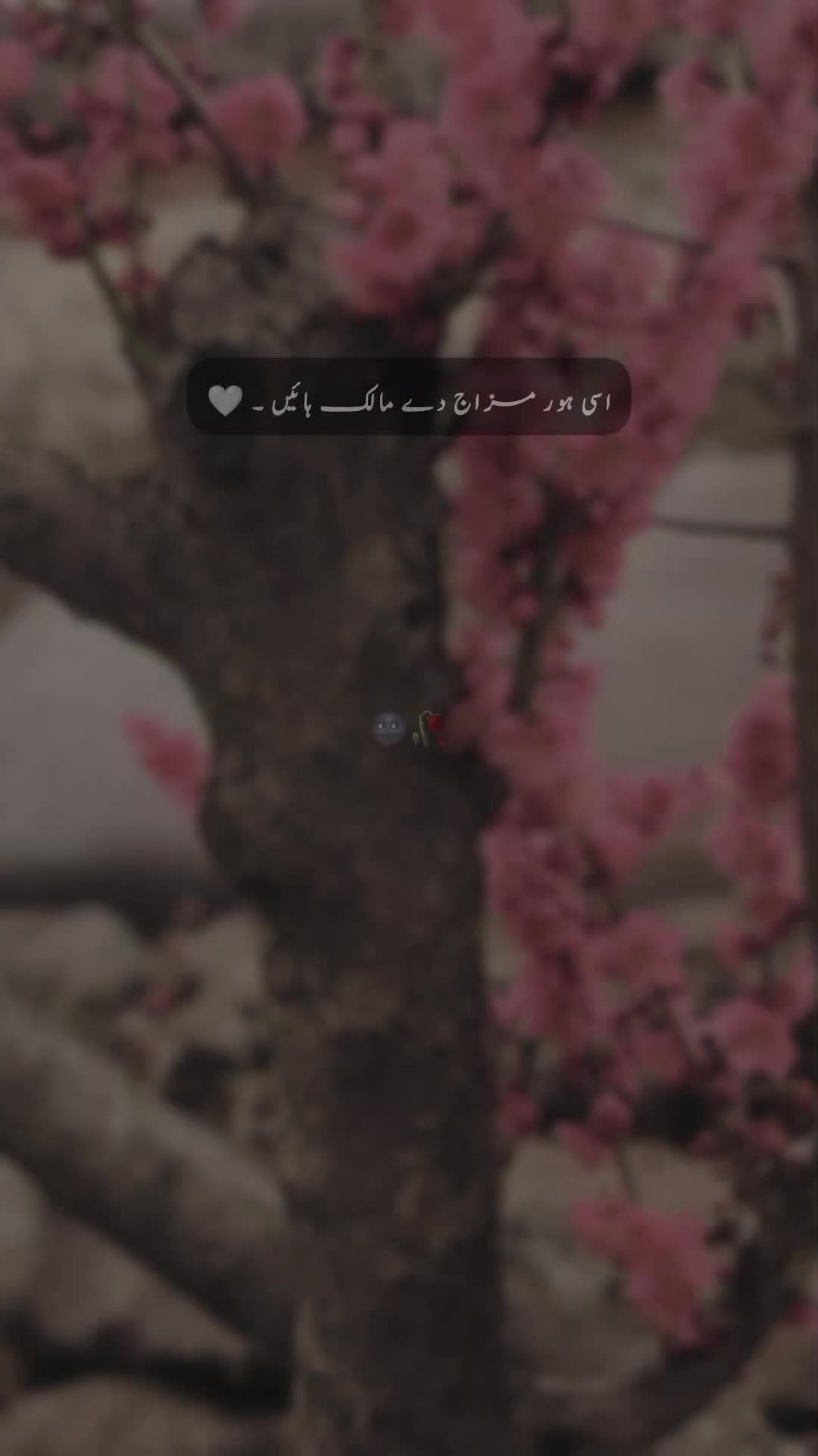 @๐ ๐ ๐ ๐ข ๐๐ซ