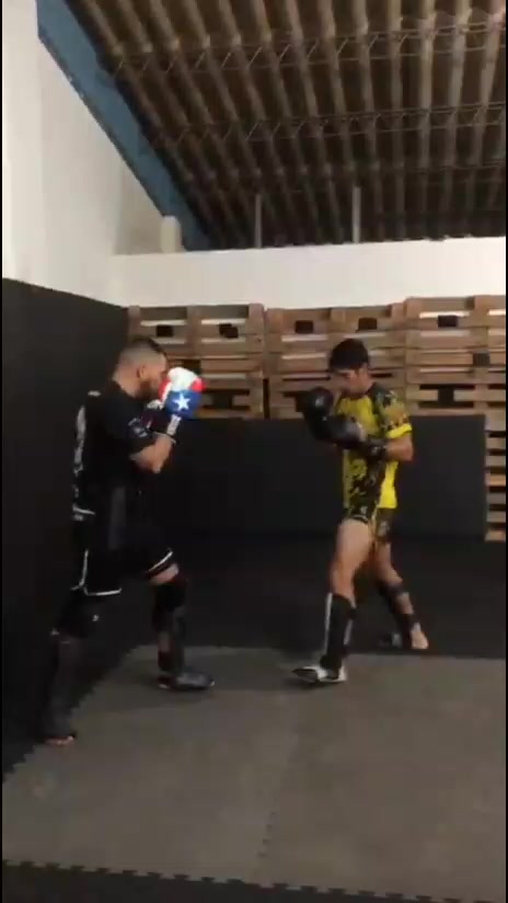 @🥊Ardilla_K1🐿️🇧🇴