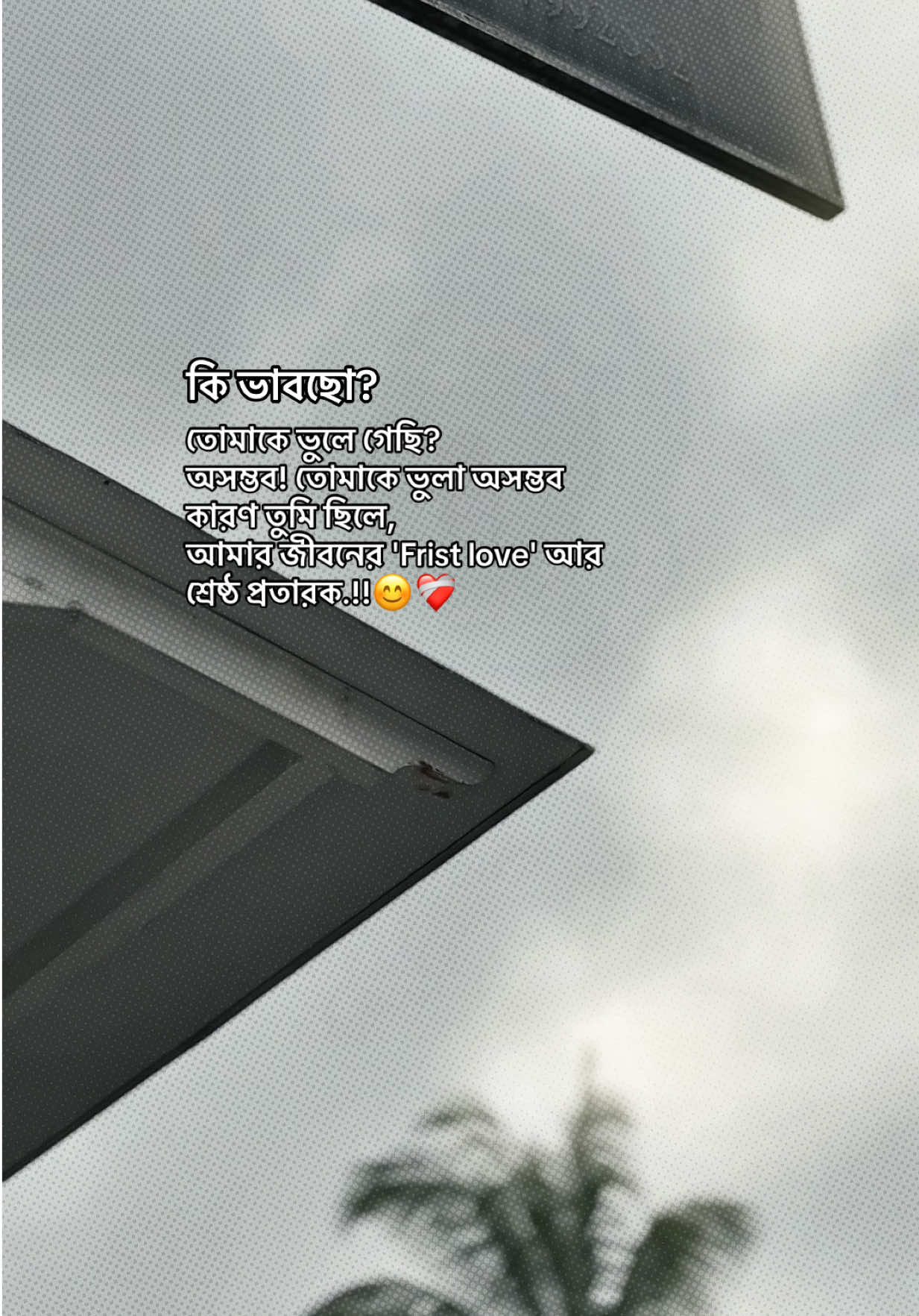 @❏ 𝐓𝐨𝐦'🐼
