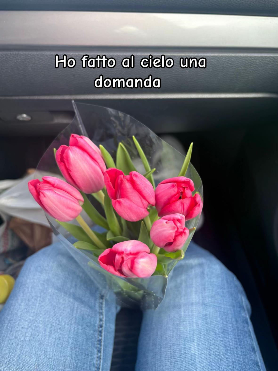 @𝑌𝑙𝑒𝑛𝑖𝑎🩵