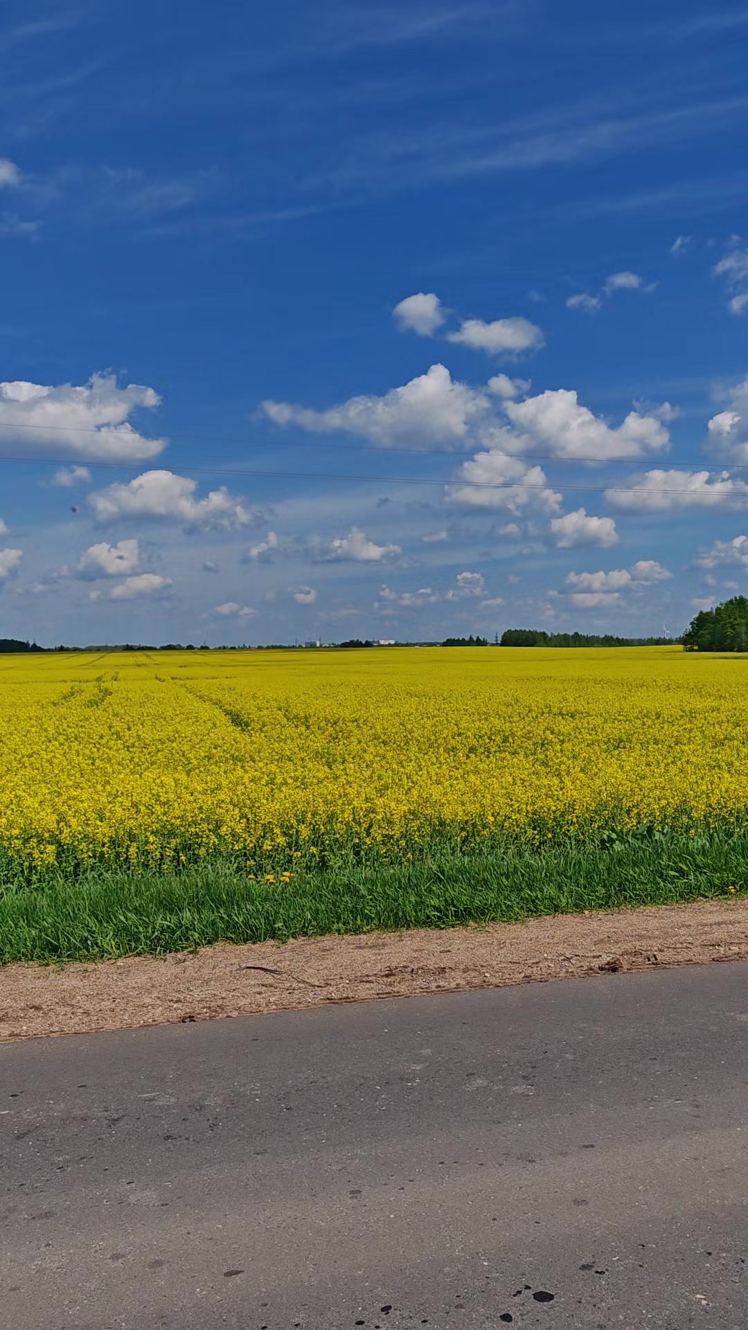 @Алеся Романюк