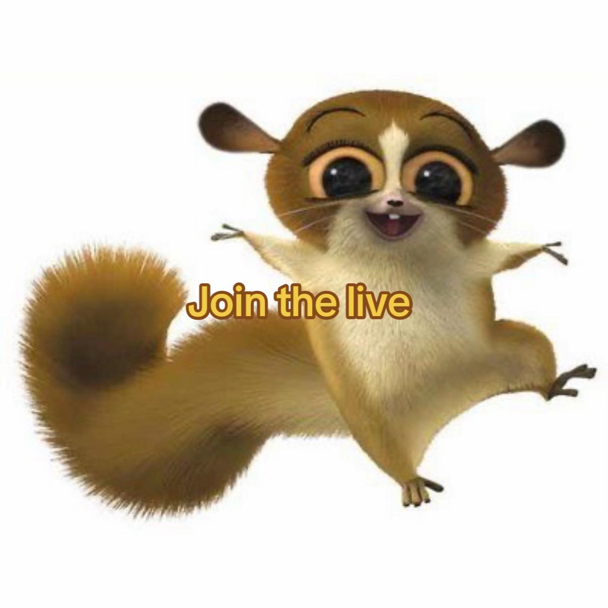 @ice.bloxxx
