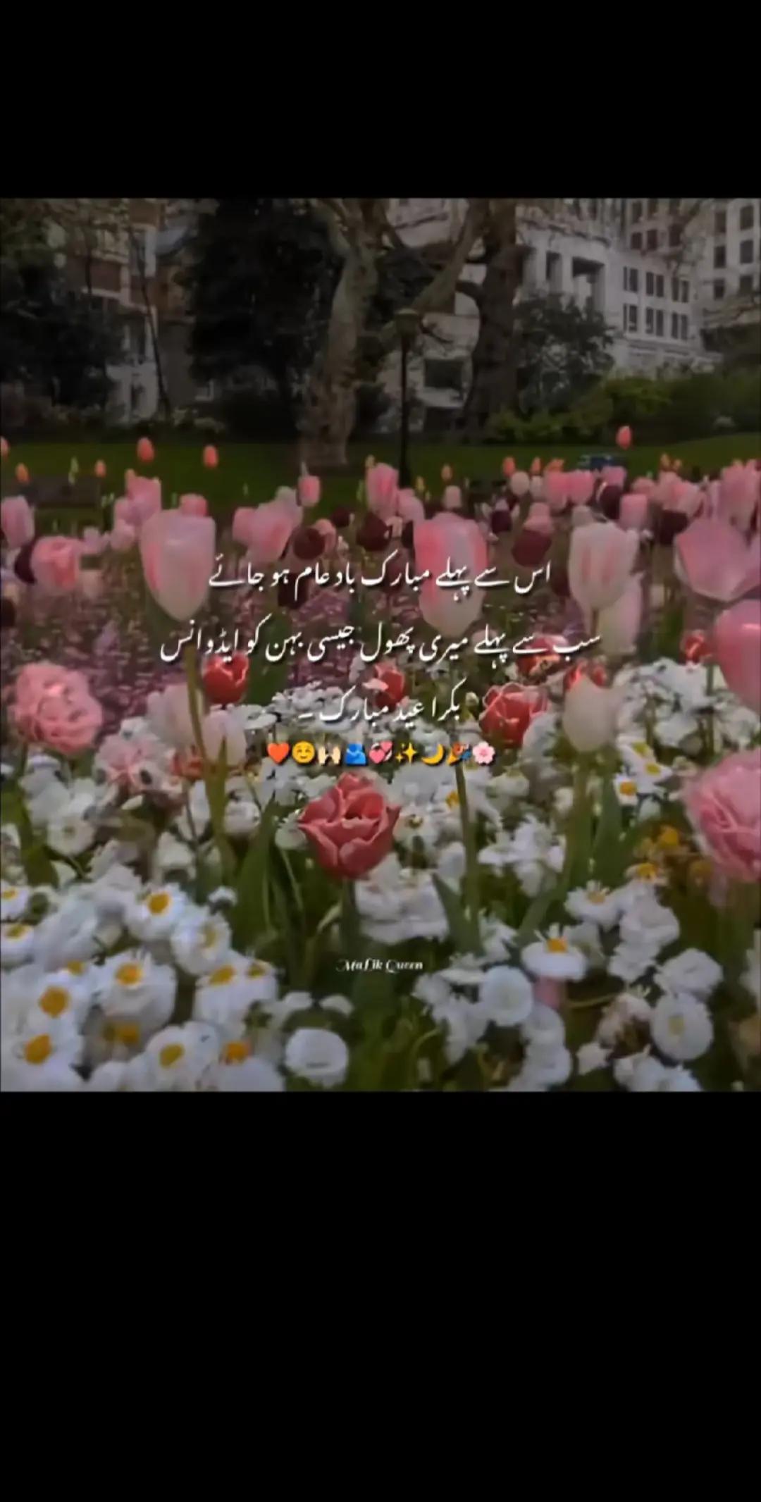 @Muhammad hussain