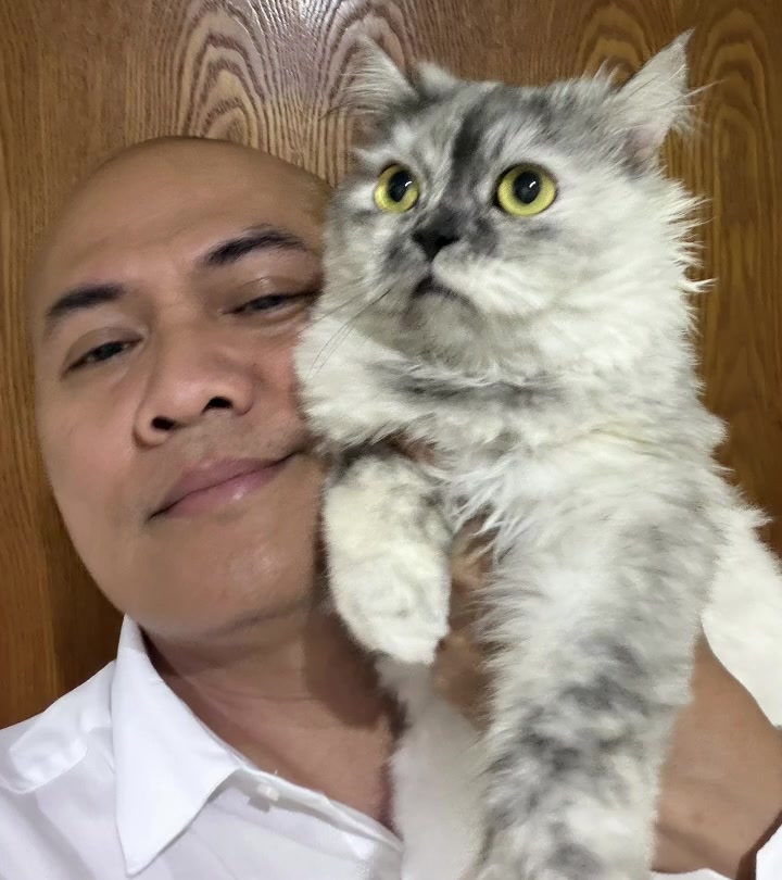 @StrayCatsAngel