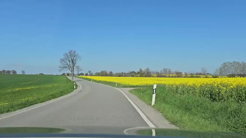 @🇮🇳Rajal🇩🇪