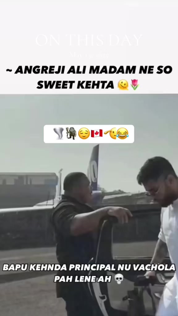 @vehlijanta761