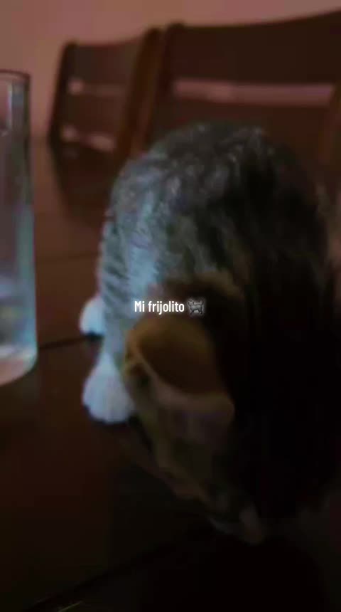 @Rebecca