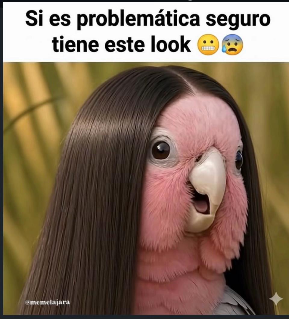 @user28553438504