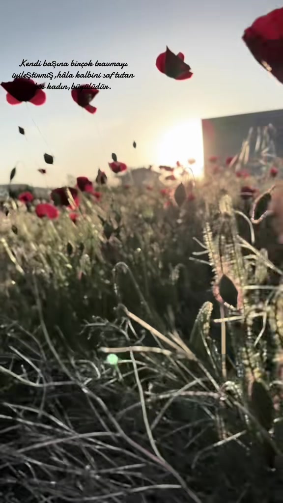 @🌼𝓟𝓪𝓟𝓪𝓣𝓨𝓪𝓢𝓮𝓜𝓲𝓝🌼