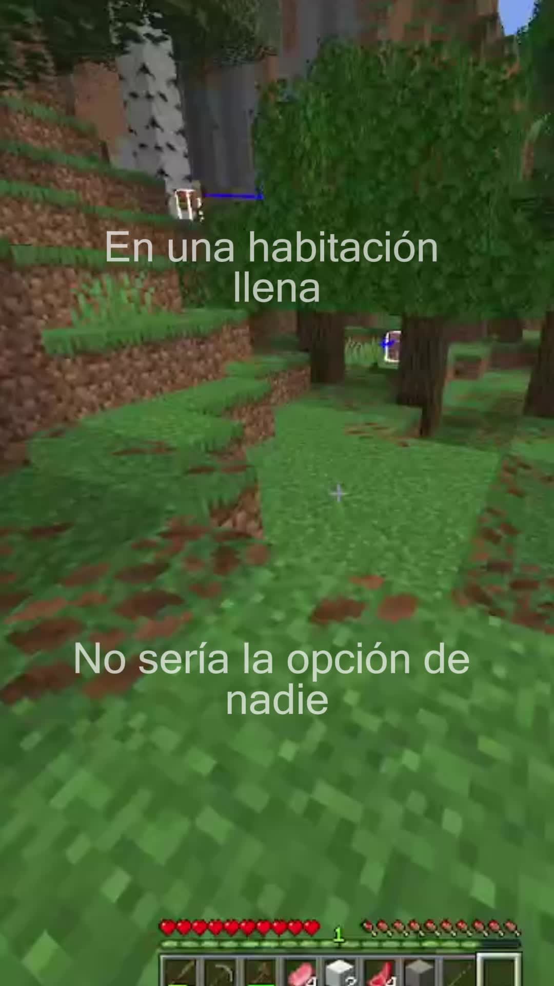 @nicozz41