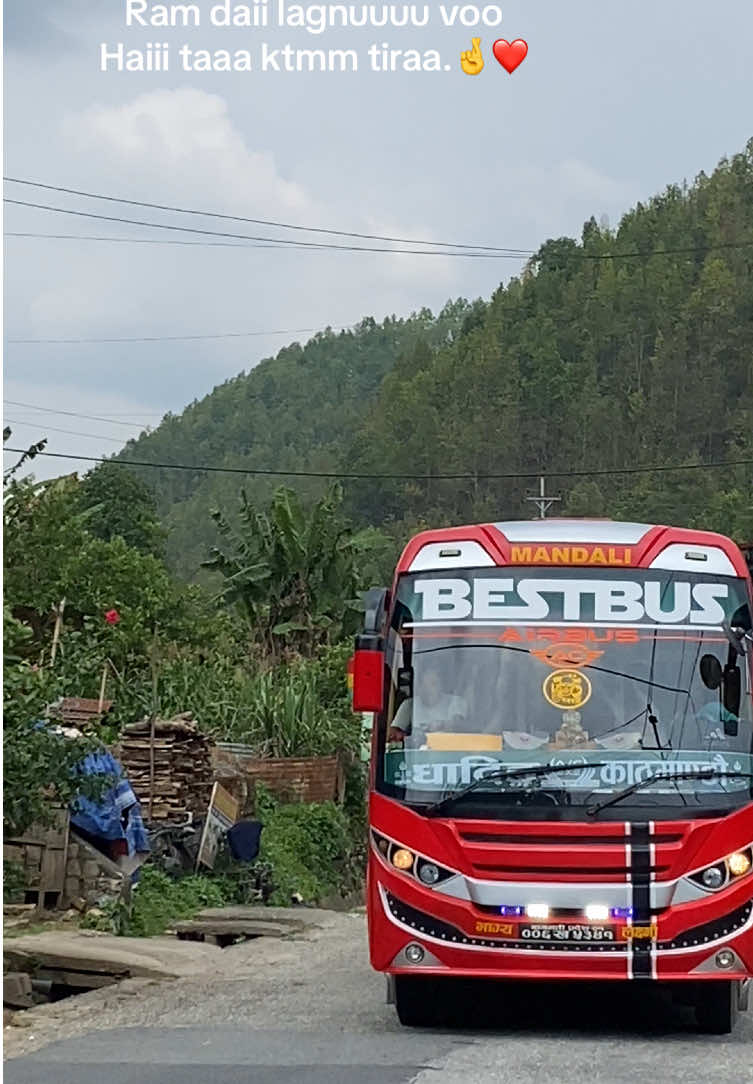 @bestbus5341