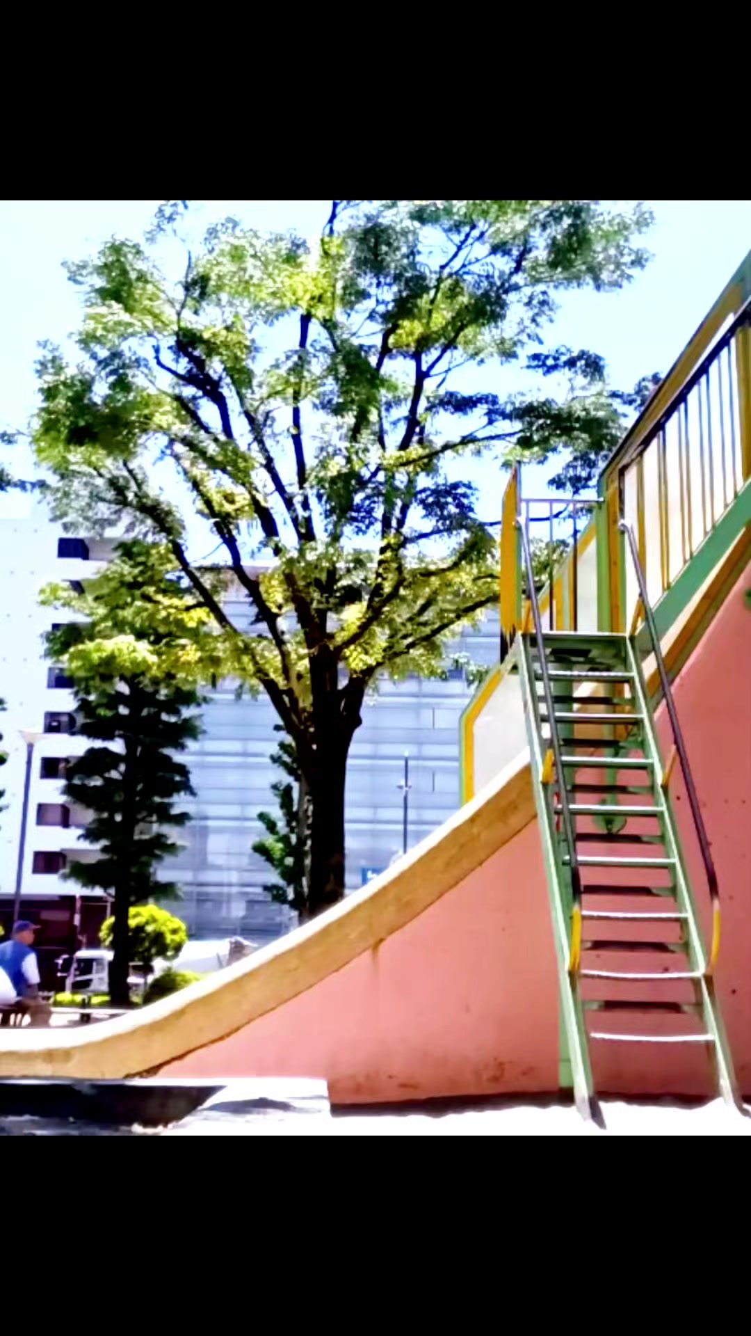 @燃焼系🔥鯉のぼりWalker