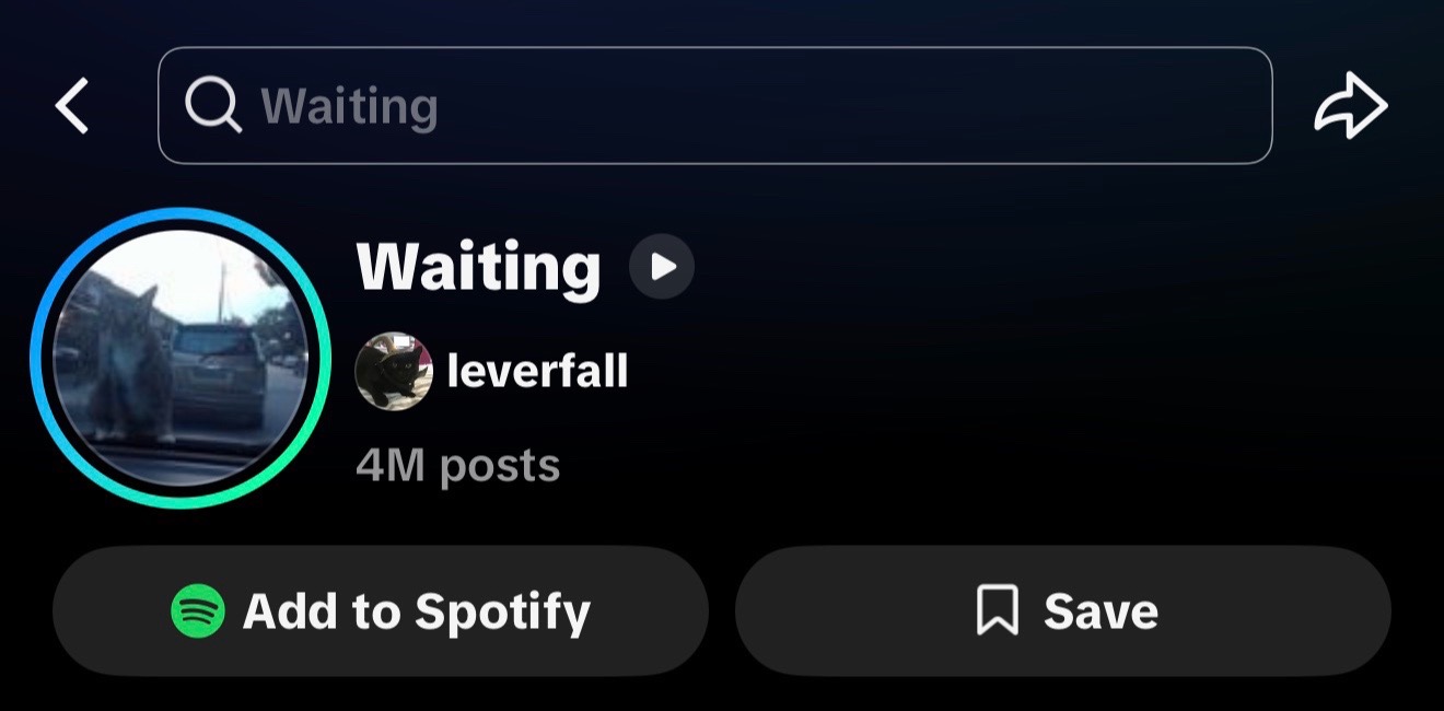 @leverfall