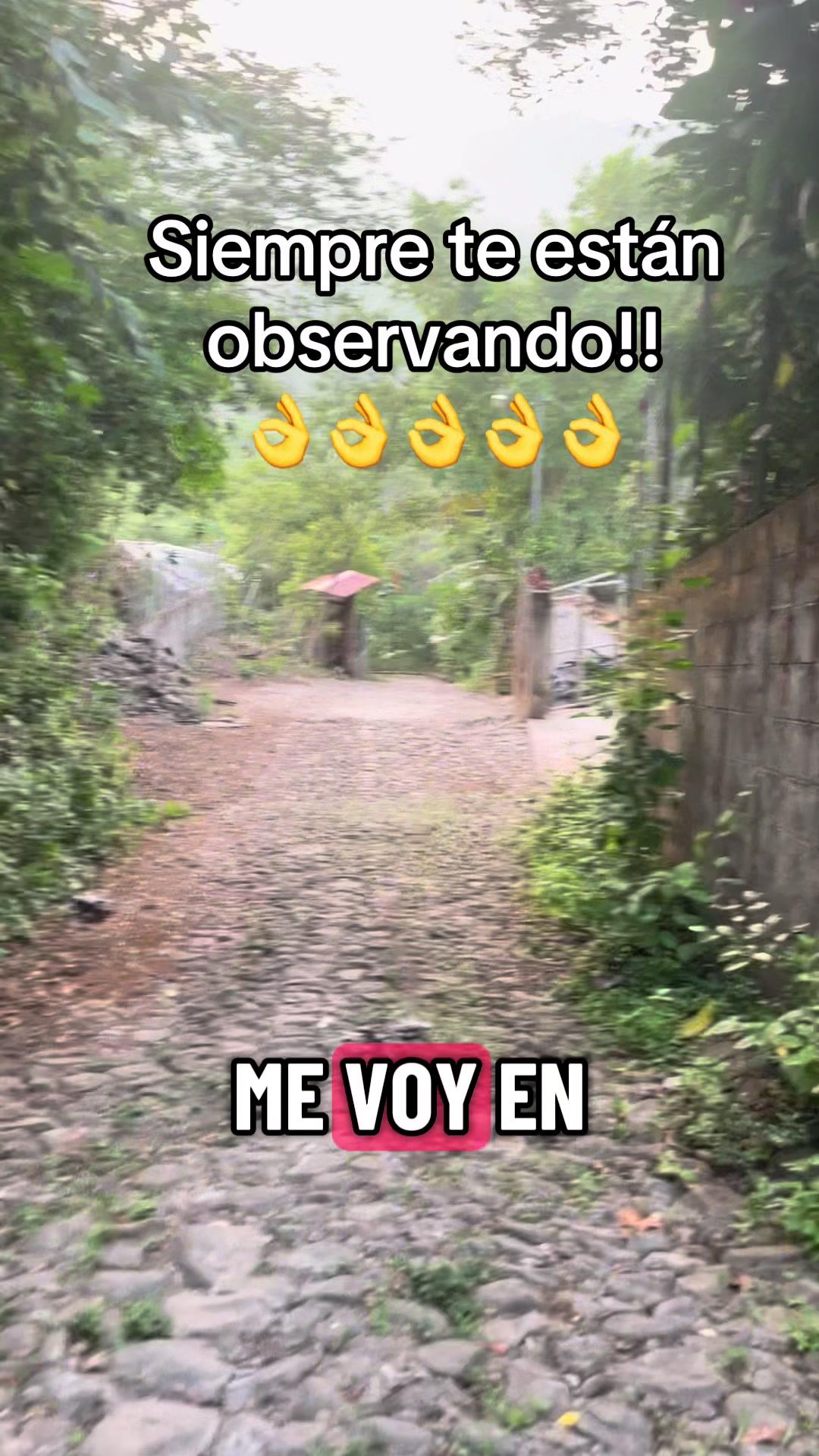 @El Fenix