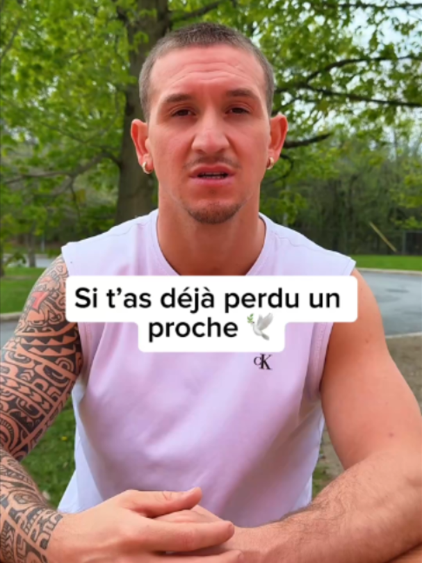 @Meeko