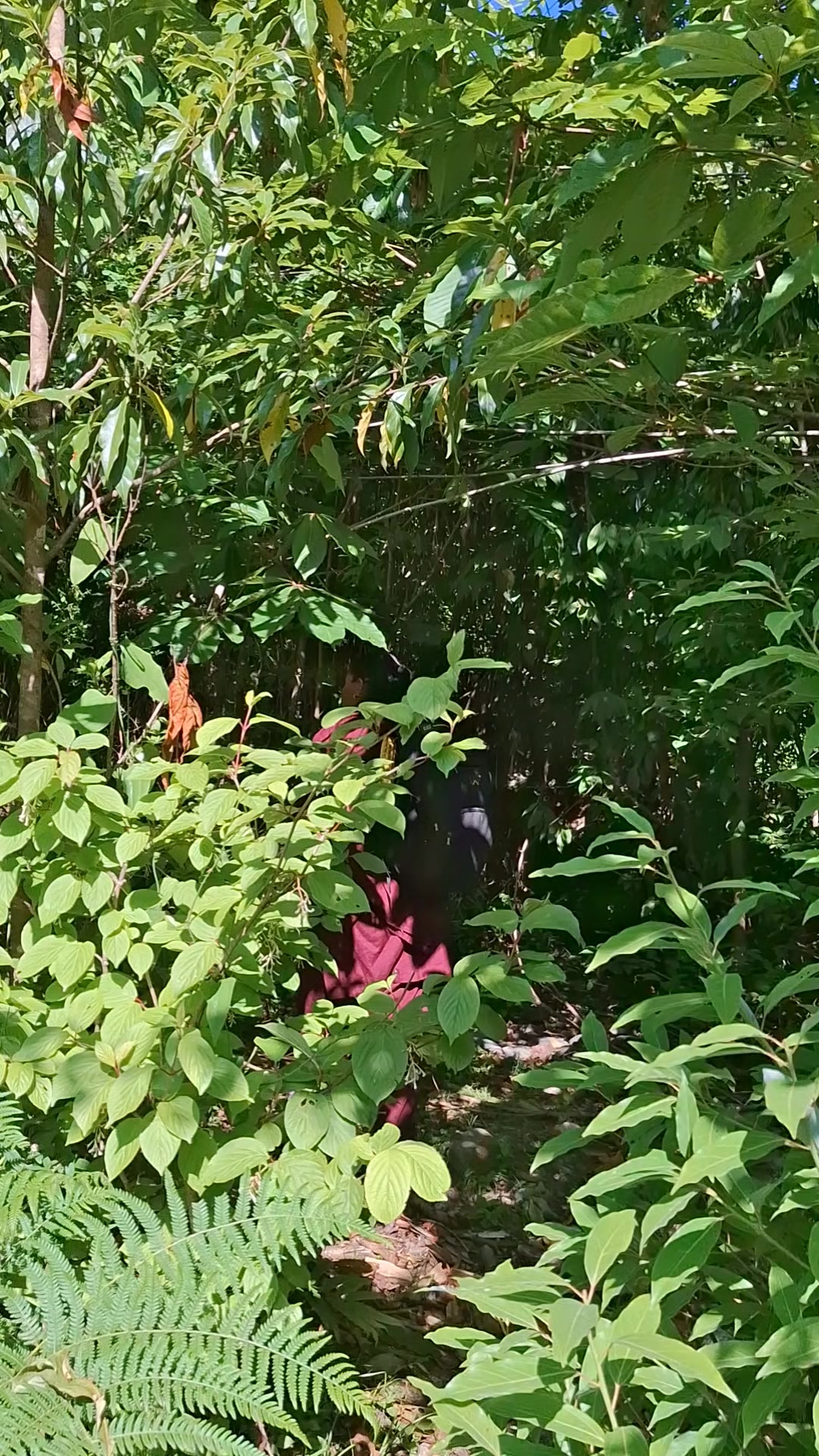 @स्मृति रोकाया"प्रेमाश्रु"💞