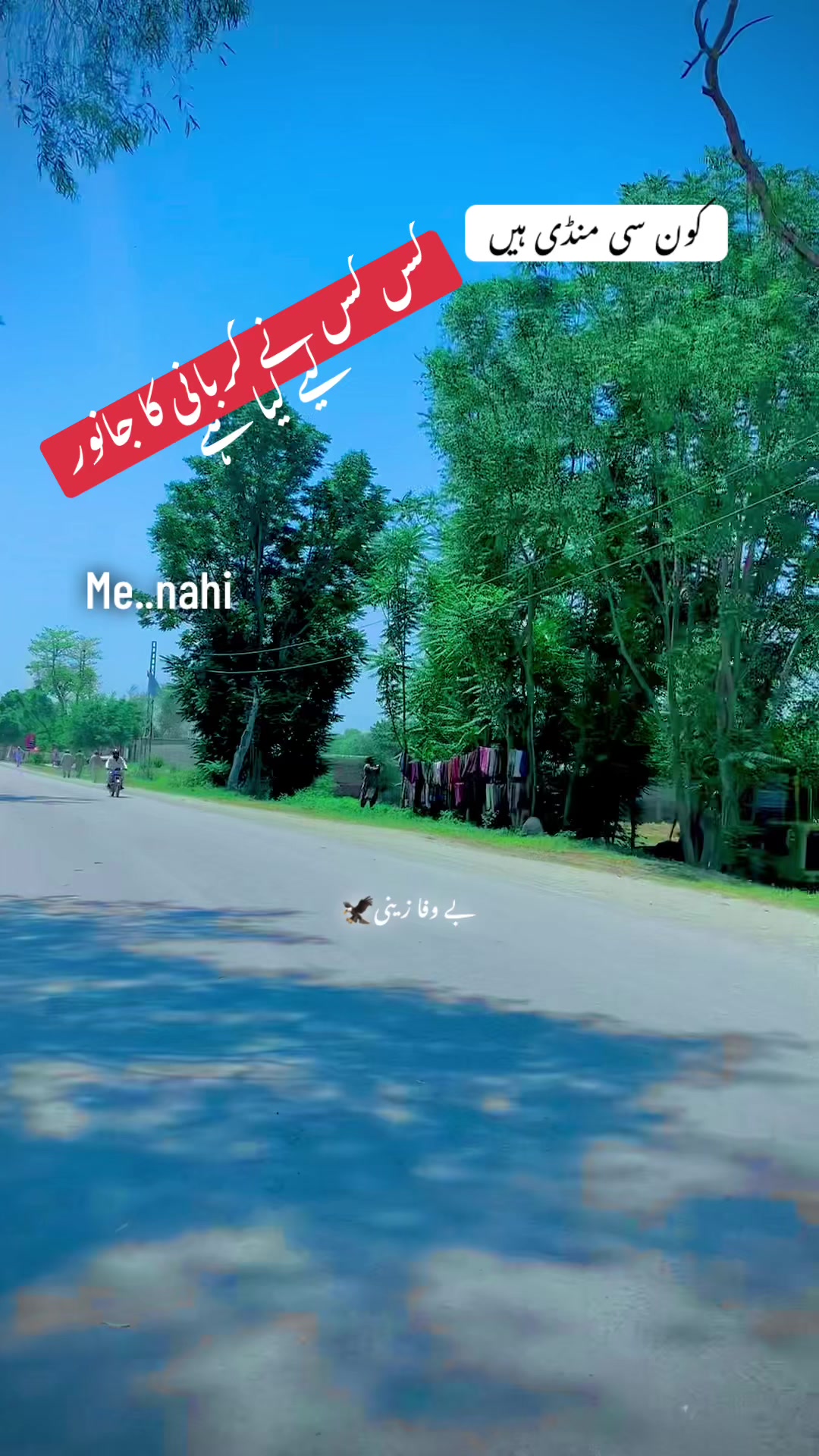 @جانی❣️z
