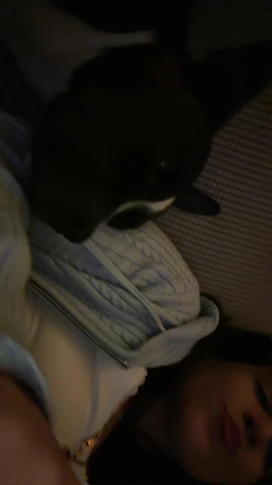 @BJJMOM