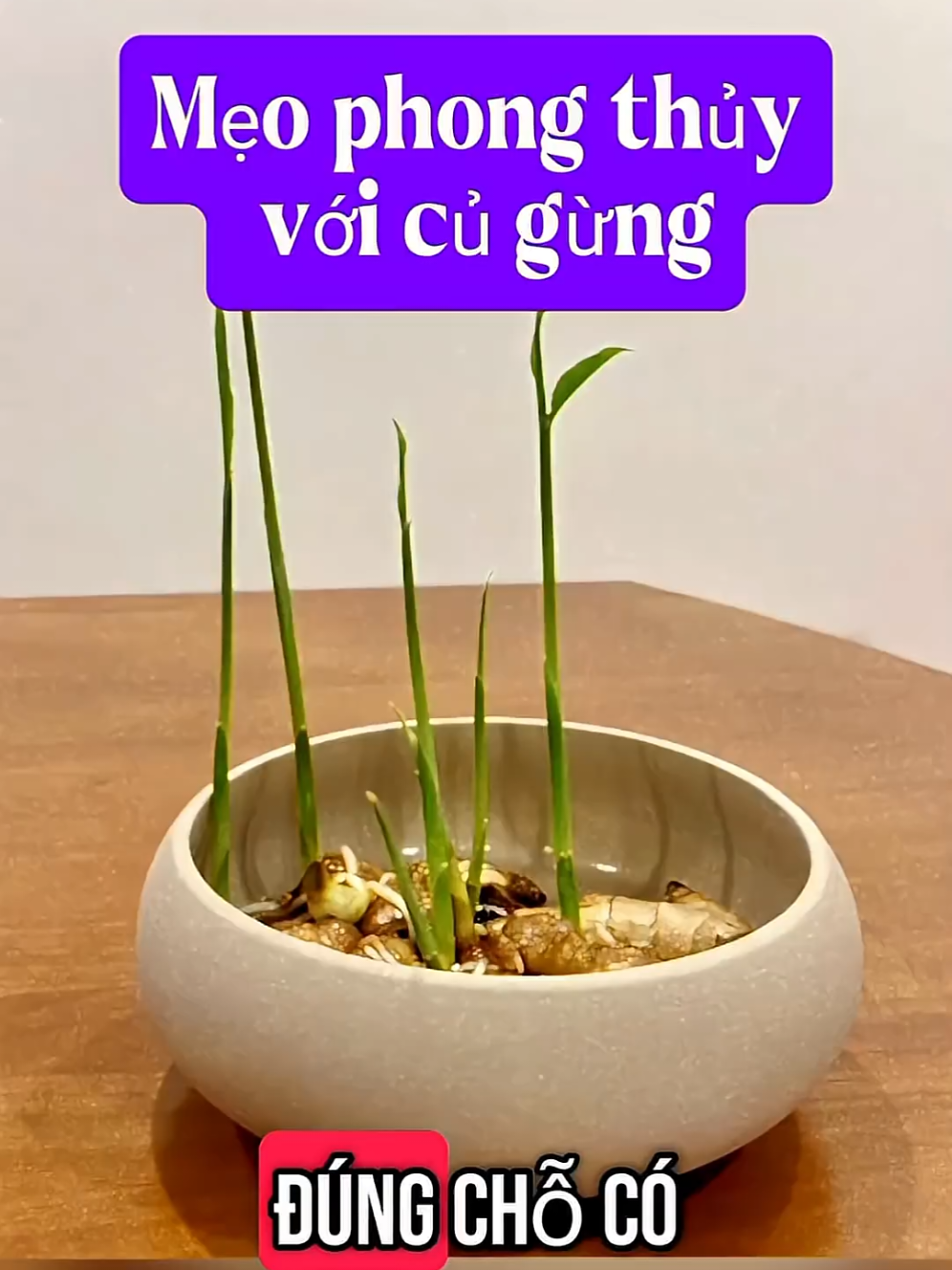@๖ۣۜアんo刀g‿✿イんủリ‿✿イんムᄊ‿✿ズんảo←さƒ