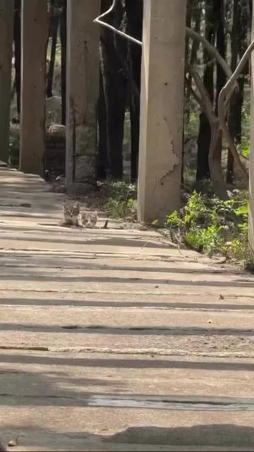 @@ไข่ตุ๋น