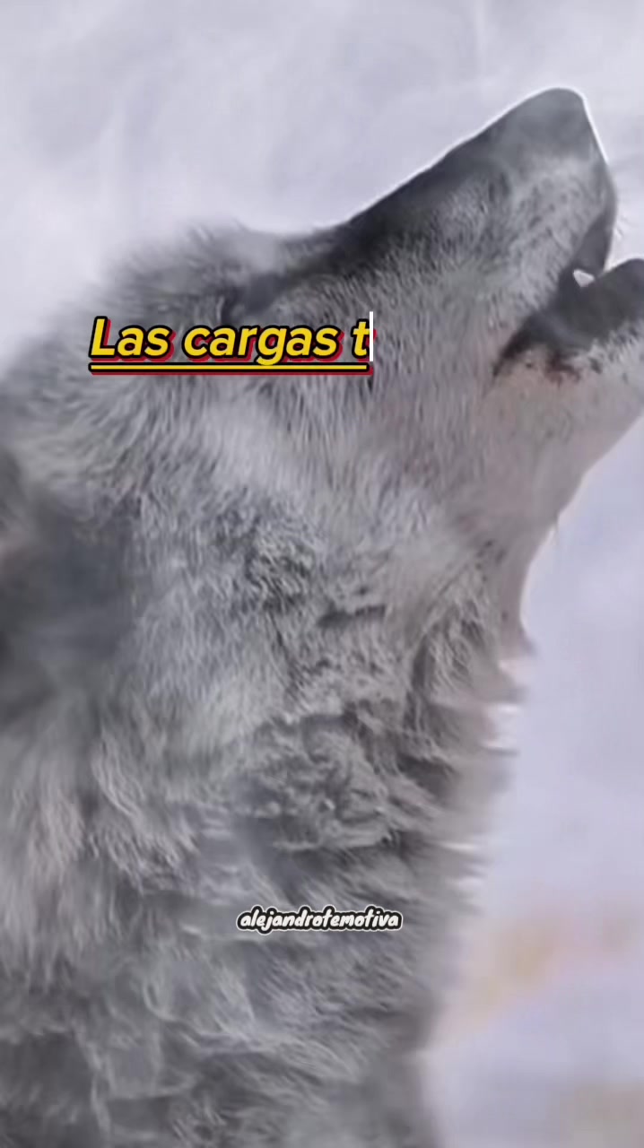 @Alejandro🐺te🦅motiva